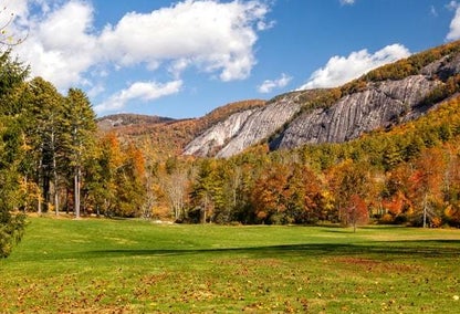 The hills and forestry of Lonesome Valley
