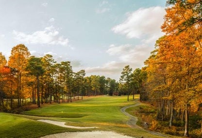 Golf course in a brightly lit orange forest