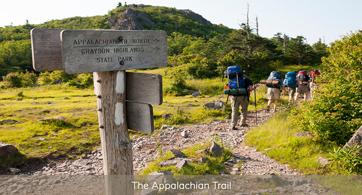 the Appalachian trail 10 best hiking trails in western north carolina landmark realty group