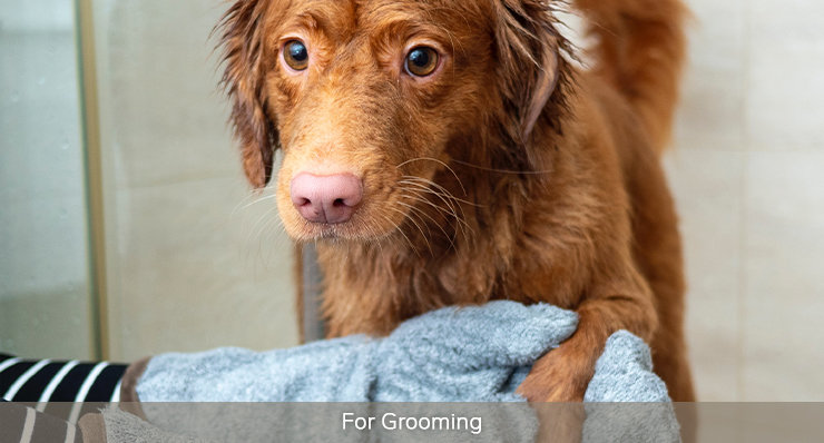 for grooming