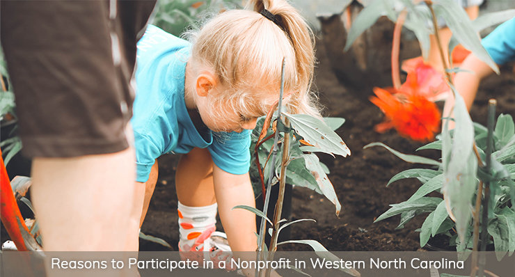 Reasons to Participate in a Nonprofit in Western North Carolina 