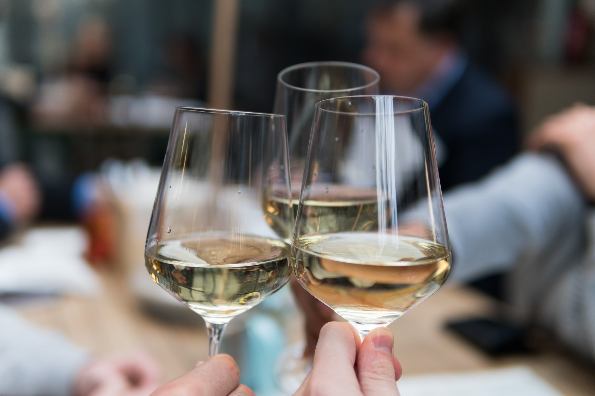 highlands-food-and-wine-festival-wine-glasses-white-wine-landmark-realty-group